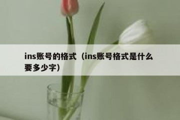 ins账号的格式（ins账号格式是什么 要多少字）