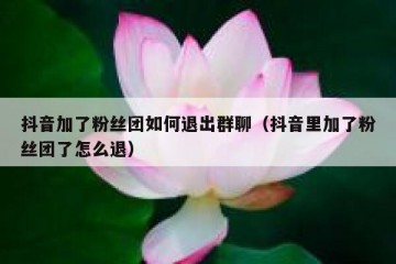 抖音加了粉丝团如何退出群聊（抖音里加了粉丝团了怎么退）