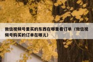 微信视频号里买的东西在哪里看订单（微信视频号购买的订单在哪儿）