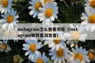 instagram怎么查看浏览（instagram如何看浏览者）