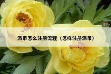 派币怎么注册流程（怎样注册派币）