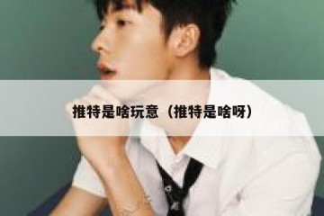 推特是啥玩意（推特是啥呀）