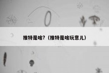 推特是啥?（推特是啥玩意儿）