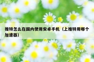 推特怎么在国内使用安卓手机（上推特用哪个加速器）
