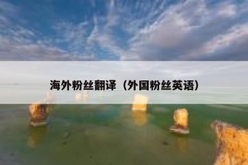 海外粉丝翻译（外国粉丝英语）