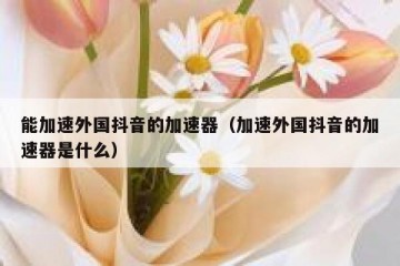 能加速外国抖音的加速器（加速外国抖音的加速器是什么）