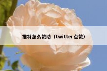 推特怎么赞助（twitter点赞）