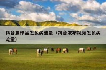 抖音发作品怎么买流量（抖音发布视频怎么买流量）