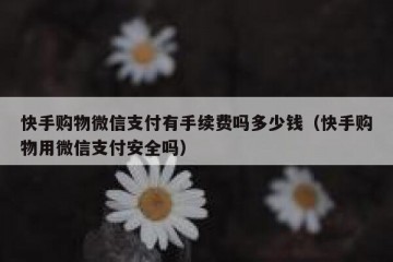 快手购物微信支付有手续费吗多少钱（快手购物用微信支付安全吗）