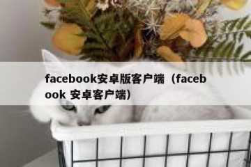 facebook安卓版客户端（facebook 安卓客户端）