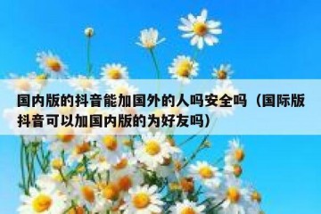 国内版的抖音能加国外的人吗安全吗（国际版抖音可以加国内版的为好友吗）