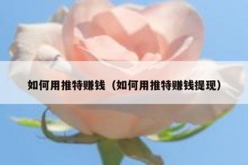 如何用推特赚钱（如何用推特赚钱提现）