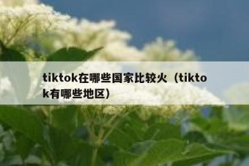 tiktok在哪些国家比较火（tiktok有哪些地区）
