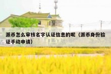 派币怎么审核名字认证信息的呢（派币身份验证手动申请）
