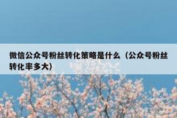 微信公众号粉丝转化策略是什么（公众号粉丝转化率多大）