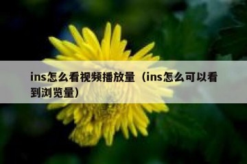 ins怎么看视频播放量（ins怎么可以看到浏览量）