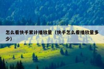 怎么看快手累计播放量（快手怎么看播放量多少）