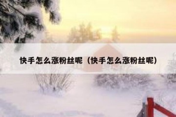 快手怎么涨粉丝呢（快手怎么涨粉丝呢）
