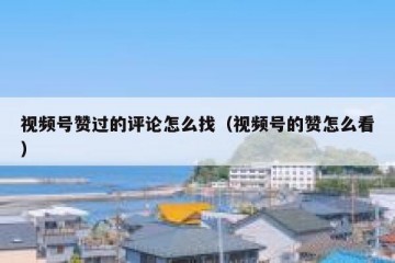 视频号赞过的评论怎么找（视频号的赞怎么看）