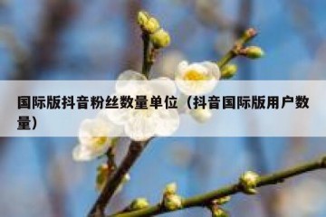 国际版抖音粉丝数量单位（抖音国际版用户数量）