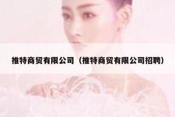 推特商贸有限公司（推特商贸有限公司招聘）