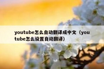 youtube怎么自动翻译成中文（youtube怎么设置自动翻译）