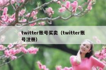 twitter账号买卖（twitter账号注册）