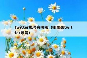 twitter账号在哪买（哪里买twitter账号）