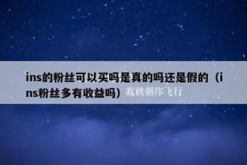 ins的粉丝可以买吗是真的吗还是假的（ins粉丝多有收益吗）