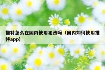 推特怎么在国内使用犯法吗（国内如何使用推特app）