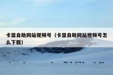 卡盟自助网站视频号（卡盟自助网站视频号怎么下载）