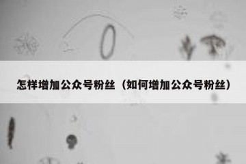 怎样增加公众号粉丝（如何增加公众号粉丝）