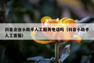 抖音企业小助手人工服务电话吗（抖音小助手人工客服）
