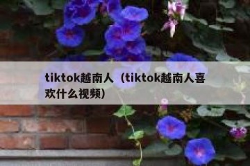 tiktok越南人（tiktok越南人喜欢什么视频）