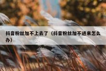 抖音粉丝加不上去了（抖音粉丝加不进来怎么办）