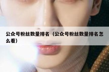 公众号粉丝数量排名（公众号粉丝数量排名怎么看）