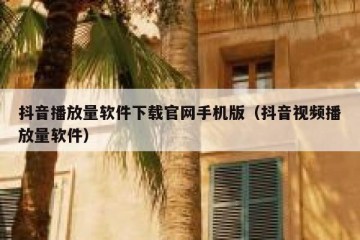 抖音播放量软件下载官网手机版（抖音视频播放量软件）