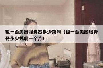 租一台美国服务器多少钱啊（租一台美国服务器多少钱啊一个月）