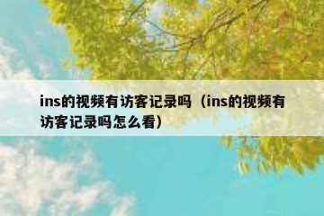 ins的视频有访客记录吗（ins的视频有访客记录吗怎么看）