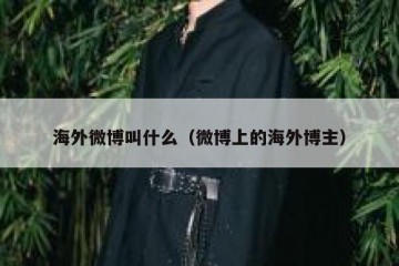 海外微博叫什么（微博上的海外博主）