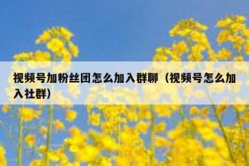 视频号加粉丝团怎么加入群聊（视频号怎么加入社群）