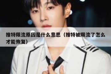 推特限流原因是什么意思（推特被限流了怎么才能恢复）