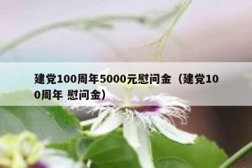 建党100周年5000元慰问金（建党100周年 慰问金）