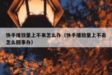 快手播放量上不来怎么办（快手播放量上不去怎么回事办）