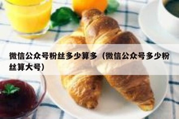 微信公众号粉丝多少算多（微信公众号多少粉丝算大号）