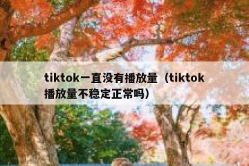 tiktok一直没有播放量（tiktok播放量不稳定正常吗）
