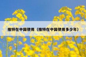 推特在中国使用（推特在中国使用多少年）