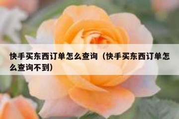 快手买东西订单怎么查询（快手买东西订单怎么查询不到）
