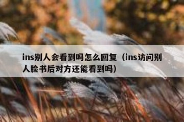 ins别人会看到吗怎么回复（ins访问别人脸书后对方还能看到吗）