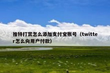 推特打赏怎么添加支付宝账号（twitter怎么向用户付款）